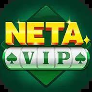 Image for NETA VIP